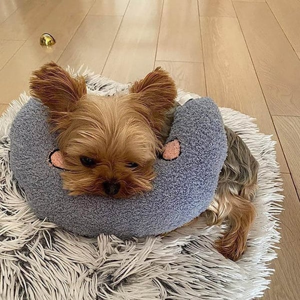 Galaxyfaze™ - Calming Pet Pillow