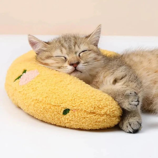 Galaxyfaze™ - Calming Pet Pillow