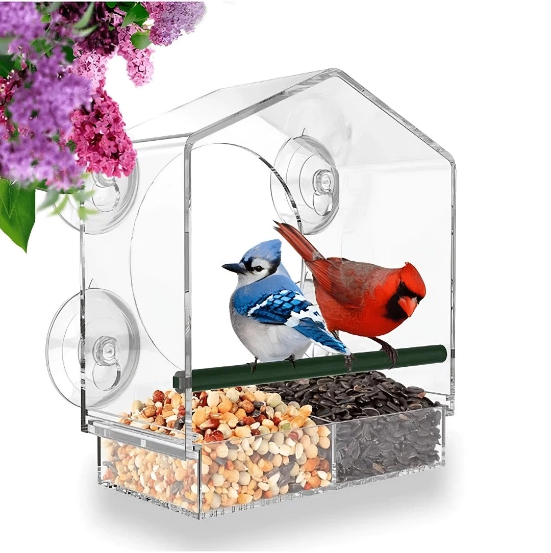 GalaxyFaze™ - Transparent Window Case Bird Home