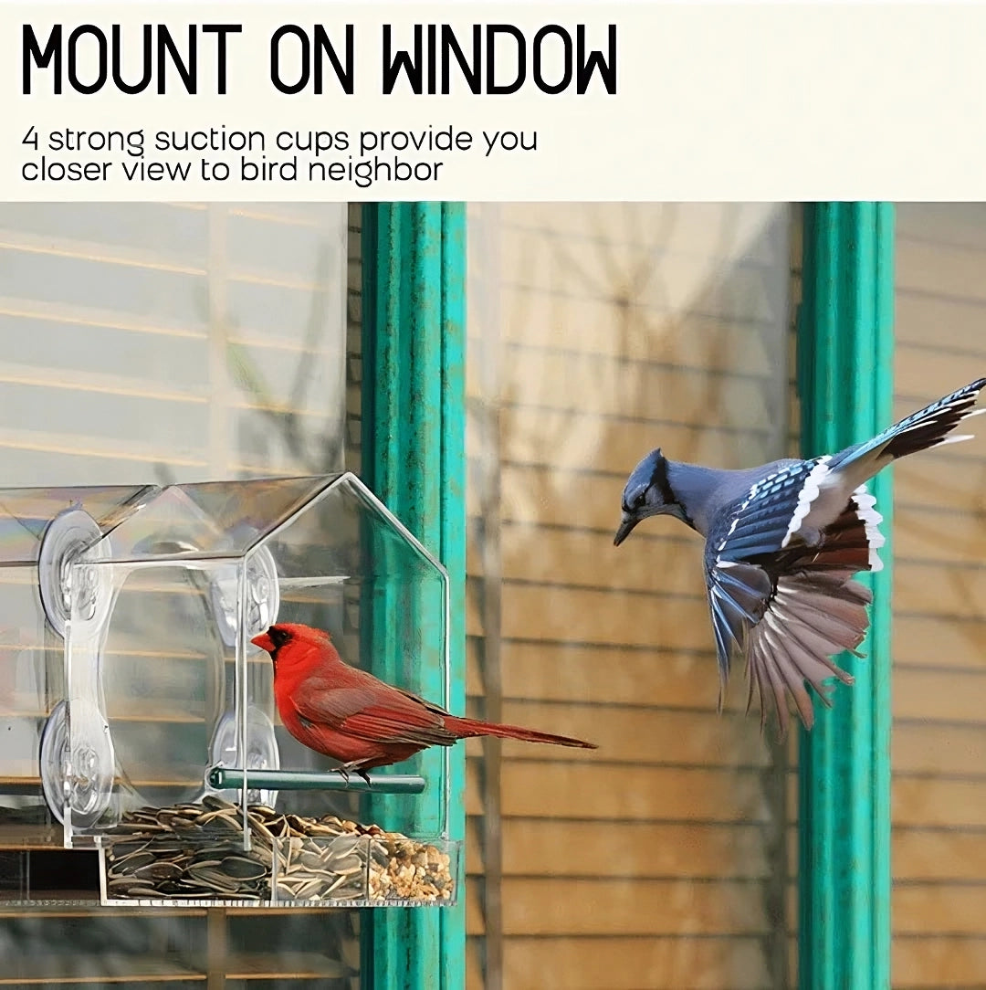 GalaxyFaze™  - Transparent Window Case Bird Home